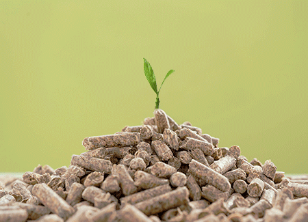 4625-AHP-quality-pellets