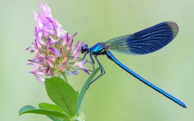 Zelfzorg: zorg voor zingeving