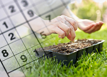 0526 Sudoku-De Mulder