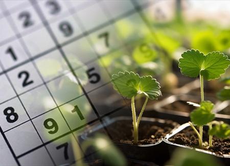 2526 Sudoku-De Mulder potgrond