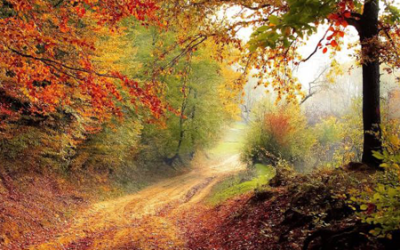 Wanneer de herfst raakt aan wat je mist