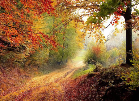Column_herfst